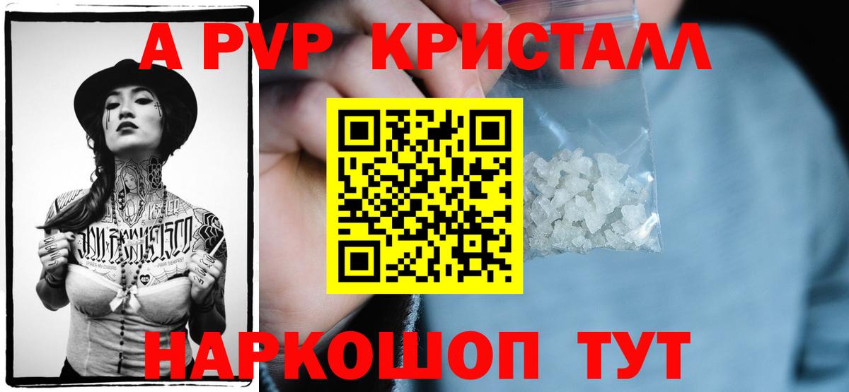 A PVP СК КРИС Алатырь