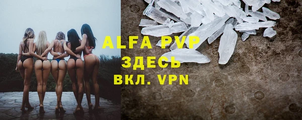 гидра Новодвинск