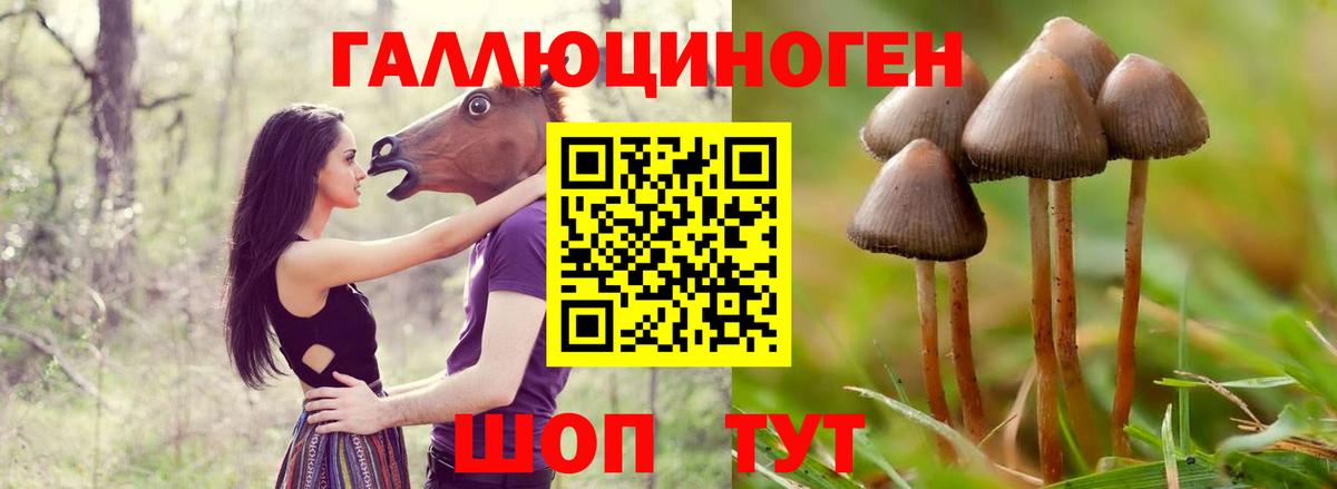 Алатырь  продажа наркотиков  Вход с VPN  Галлюциногенные грибы Magic Shrooms 